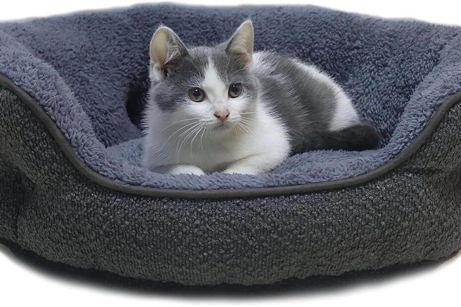 Cozy Comfort: Review of the Ultimate Small Dog & Cat Bed