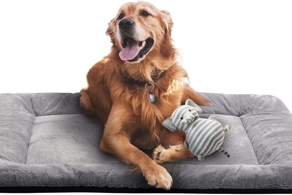 Cozy Comfort: Review of the VERZEY Crate Pad for Large Dogs
