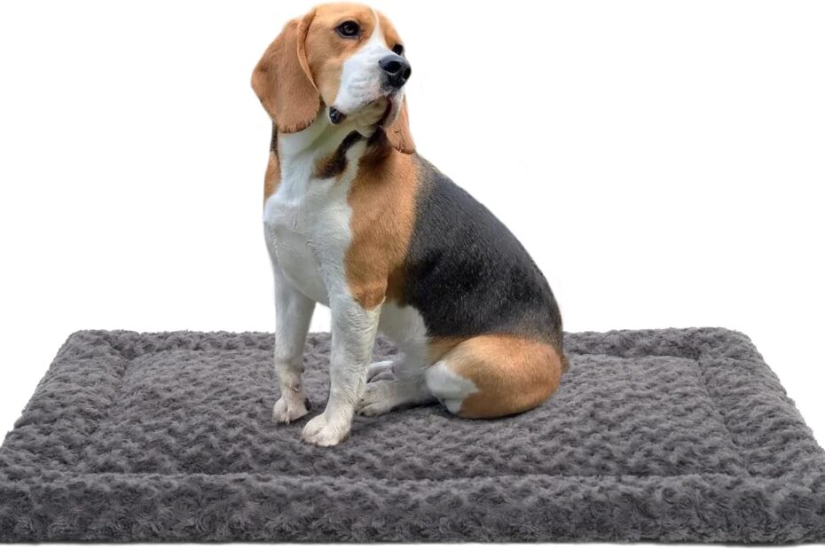 Cozy Comfort: Review of the Washable Reversible Dog Bed Mat for All Breeds