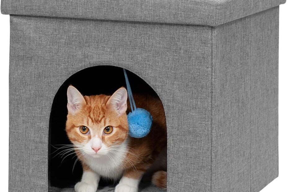 Cozy Comfort: Reviewing the Furhaven Pet House for Indoor Cats & Small Dogs