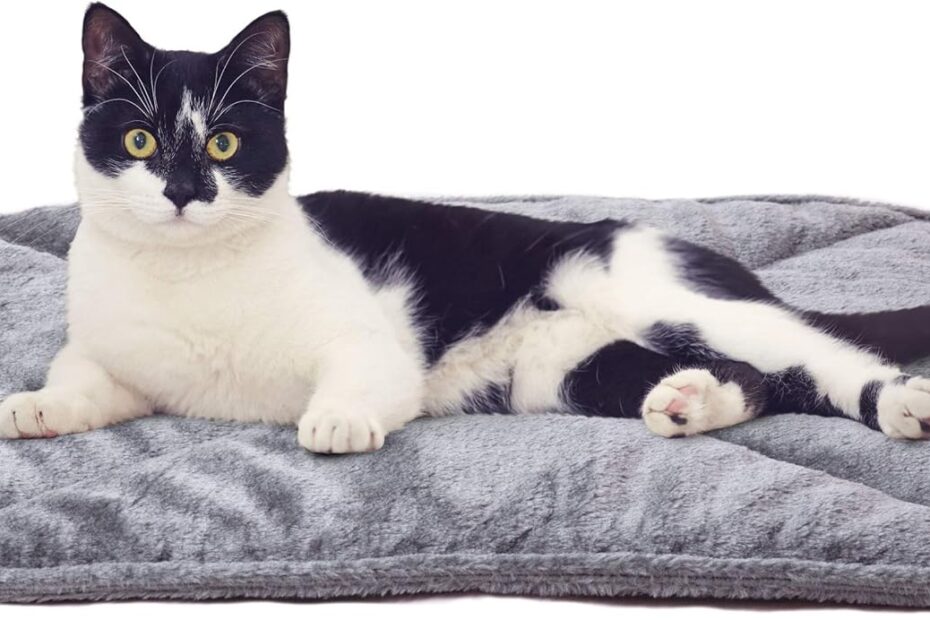 Cozy Comfort: Reviewing the Furhaven ThermaNAP Self-Warming Cat Bed