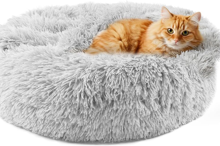 Cozy Comfort: Reviews of Himax Donut Dog Beds for Small Dogs