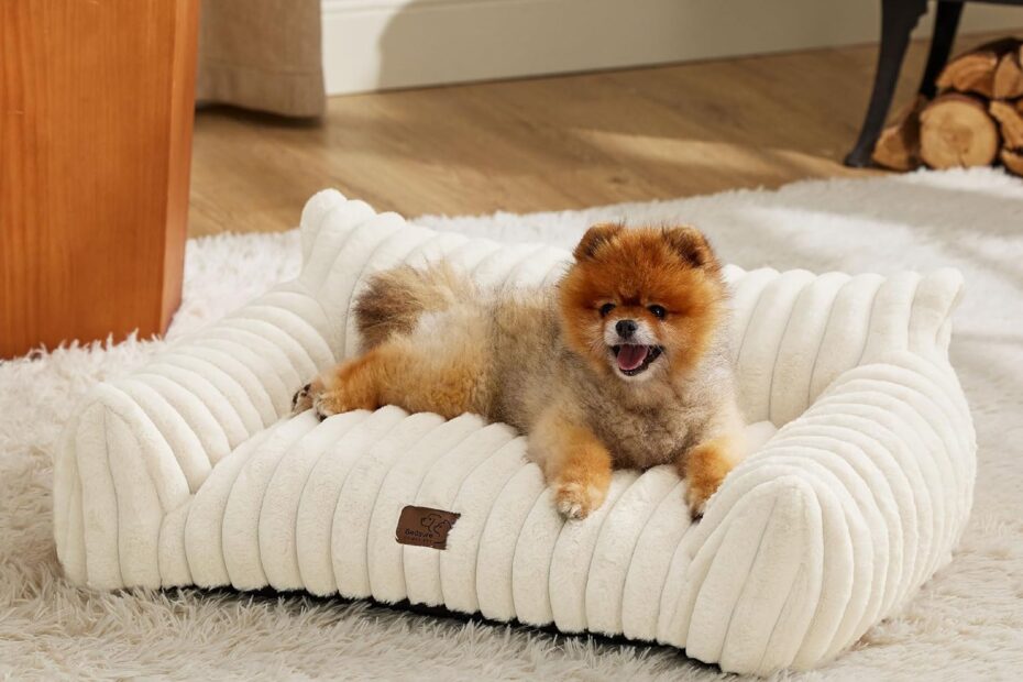 Cozy Comfort: The Bedsure Cute Cat Couch for Your Furry Friends