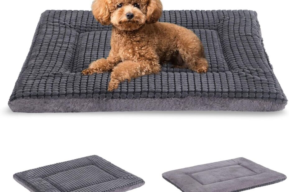 Cozy Comfort: The BVAGSS Reversible Memory Foam Dog Bed Review