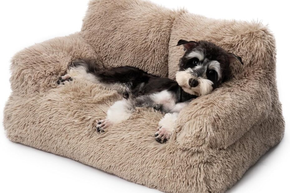 Cozy Comfort: The Mewoo Dog Couch Review for Your Furry Friends!