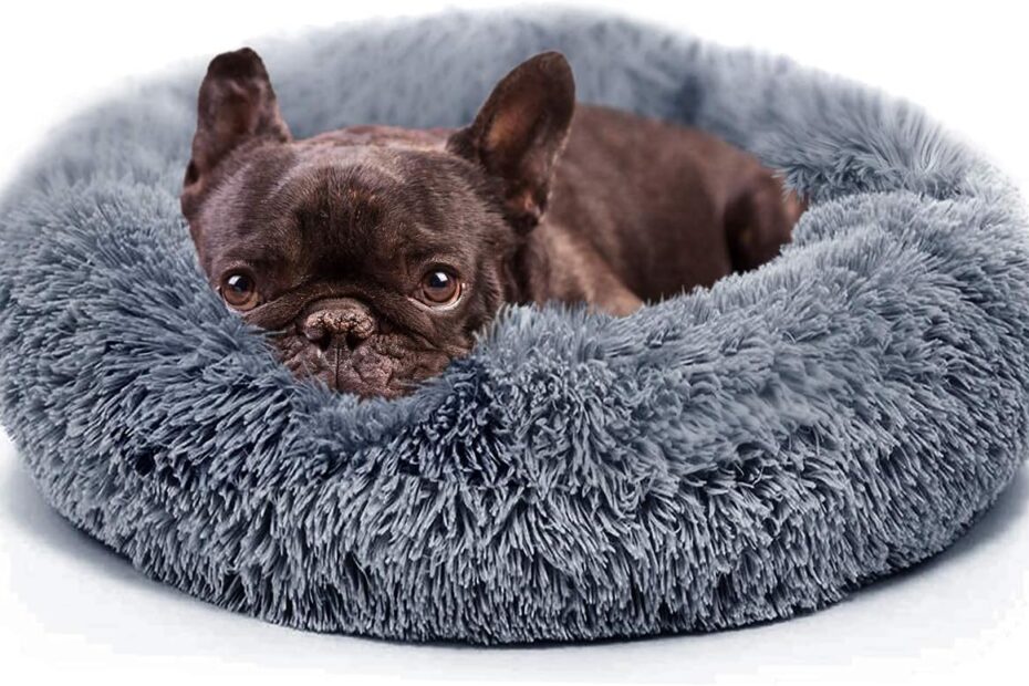 Cozy Comfort: The Ultimate Anti-Anxiety Bed for Small Dogs!