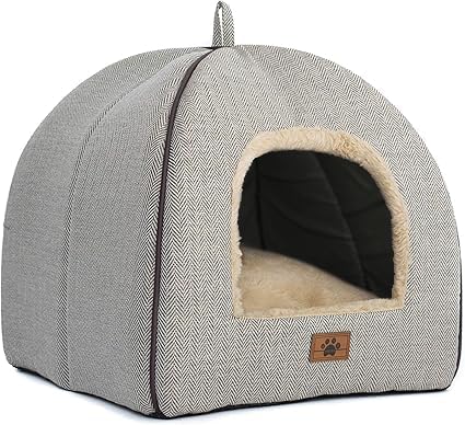 Cozy Comfort: The Ultimate Cat Bed Review for Indoor Cats