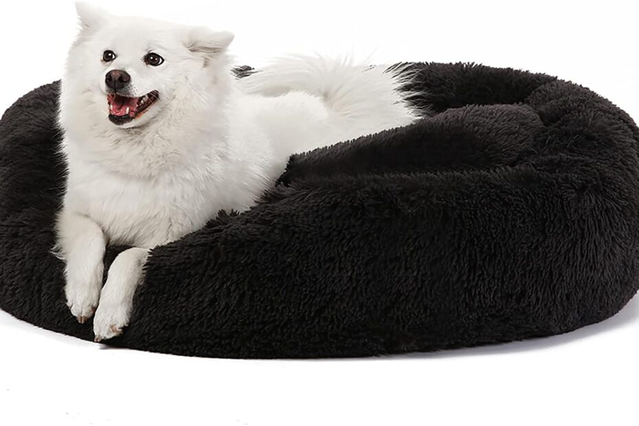 Cozy Comfort: The Ultimate Review of JEMA Calming Dog Beds for Large Dogs