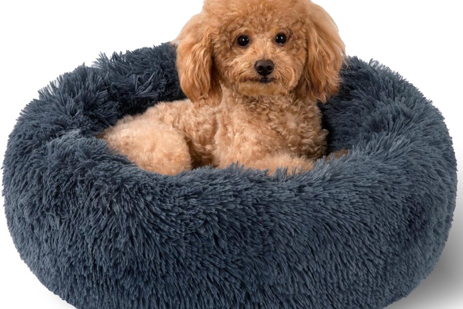 Cozy Comfort: The Ultimate Review of the Anti-Slip Donut Dog Calming Bed