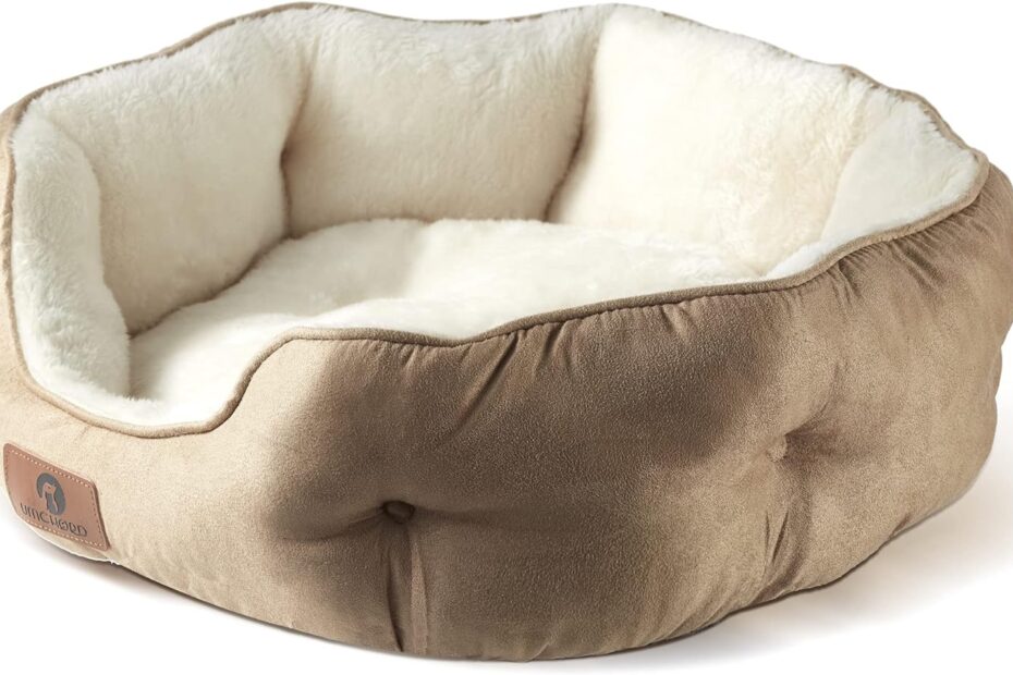 Cozy Comfort: The Ultimate Review of the Asvin Small Dog Bed for Your Furry Friends!