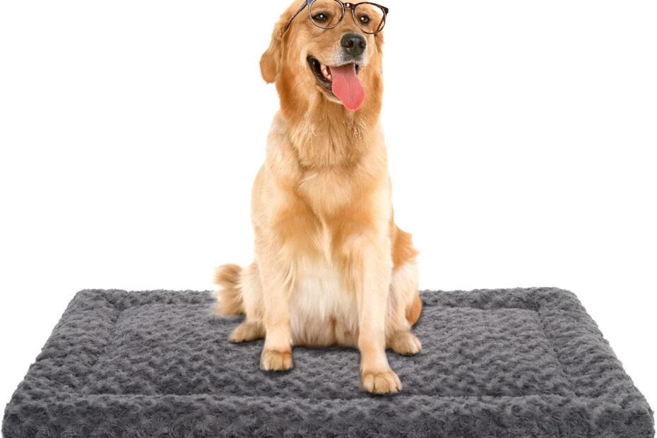 Cozy Comfort: The Ultimate Washable Dog Bed Mat Review!