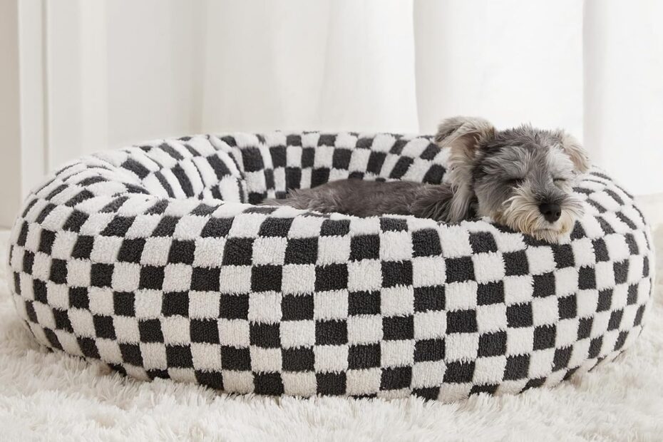 Cozy Comforts: Review of the BFPETHOME Donut Dog Bed for Small Pets