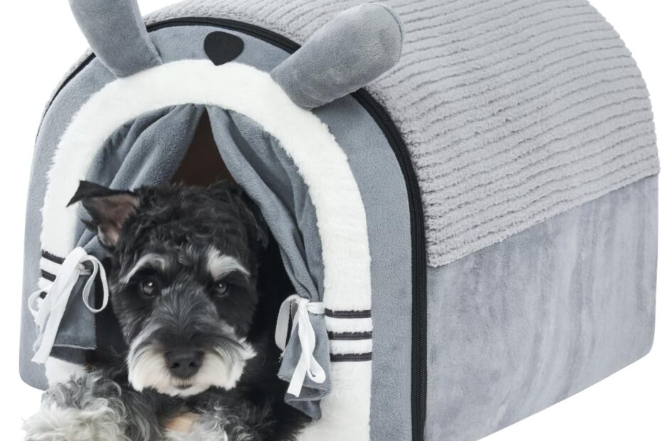 Cozy Up Your Pup: Review of the Jiupety Cartoon Style Dog Cave Bed