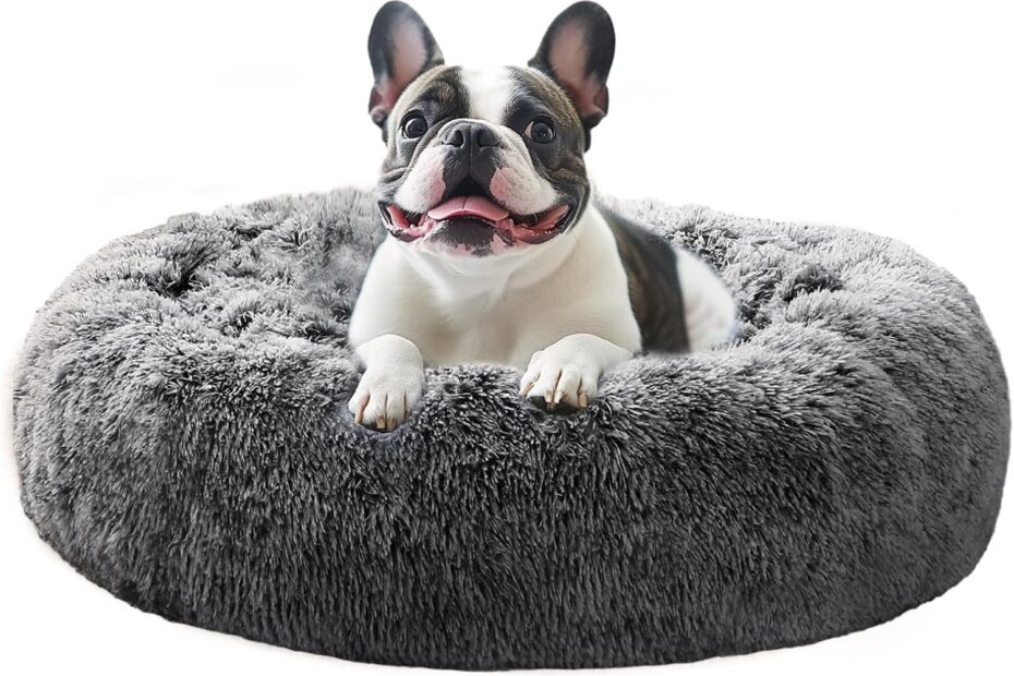 Create a Cozy Retreat: JOLLYVOGUE's Calming Dog Bed for Stress Relief