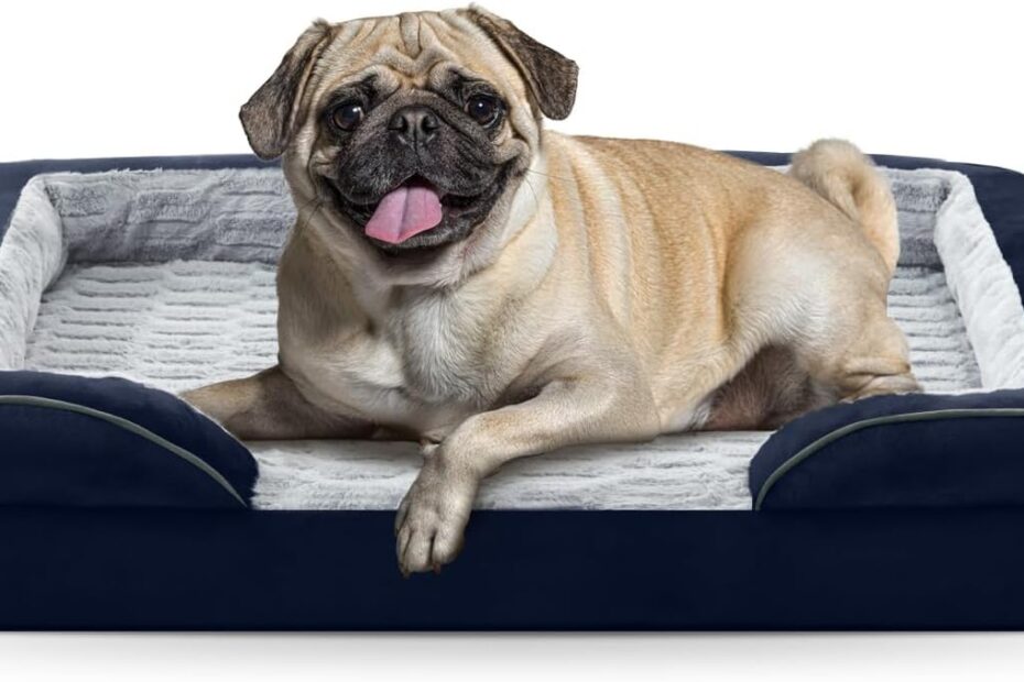 Discover Comfort: FURTIME Orthopedic Dog Bed Review for Small Dogs
