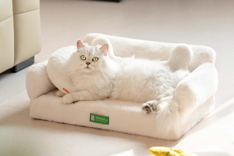 Discover Comfort: MEWOOFUN Orthopedic Pet Bed Review for Cats and Small Dogs