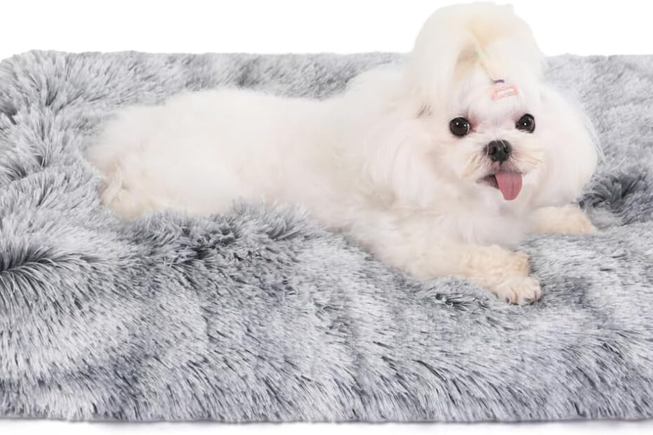 Discover Comfort: Review of the Bedfolks Waterproof Plush Dog & Cat Bed