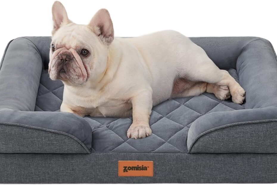 Discover Comfort: The Best Orthopedic Dog Bed for Medium-Sized Pups