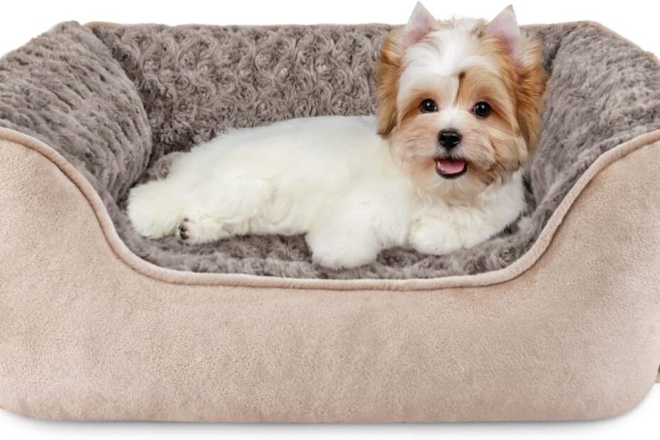 Discover Comfort: The JOEJOY Orthopedic Dog Bed for All Sizes