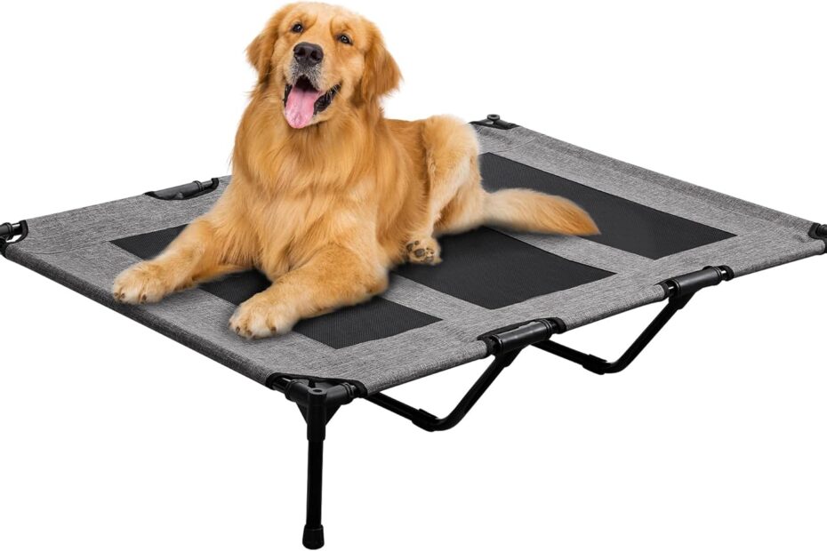 Discover Comfort: The PRAISUN XL Elevated Dog Bed Review