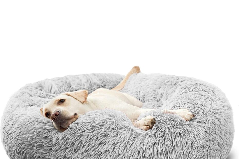 Discover the Comfort: HACHIKITTY Calming Donut Dog Cuddler Review