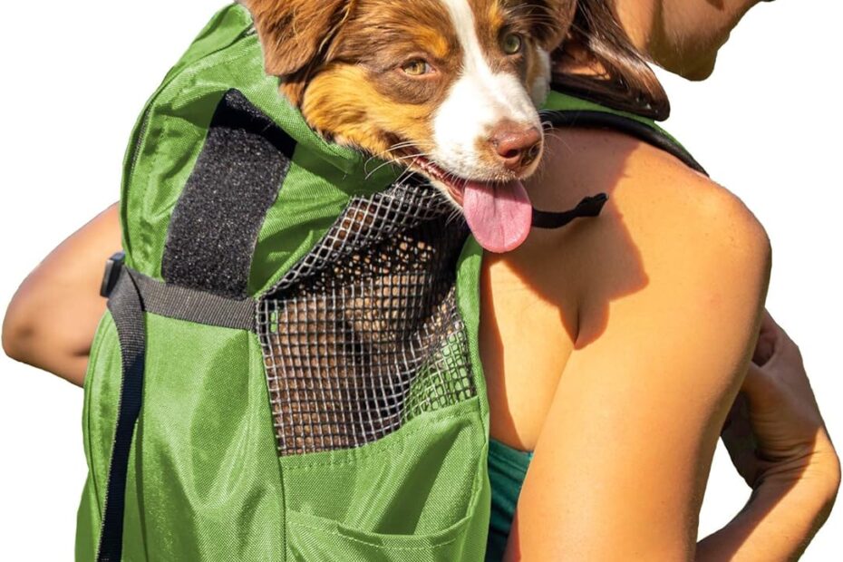 Discover the K9 Sport Sack Trainer: The Ultimate Dog Backpack for Adventure!