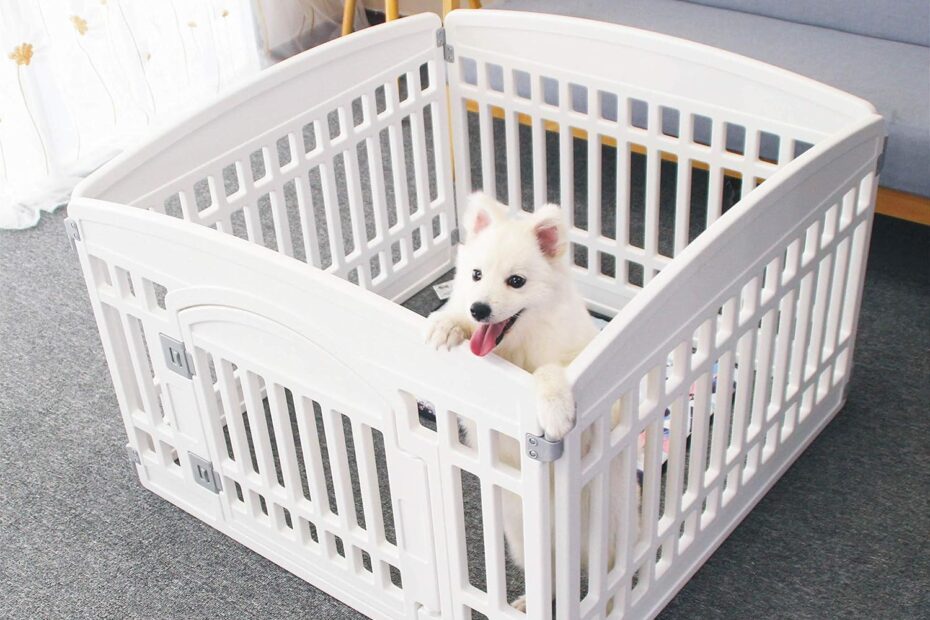 Discover the Perfect Playpen: Pet Playpen Gate Review for Small Dogs and Puppies