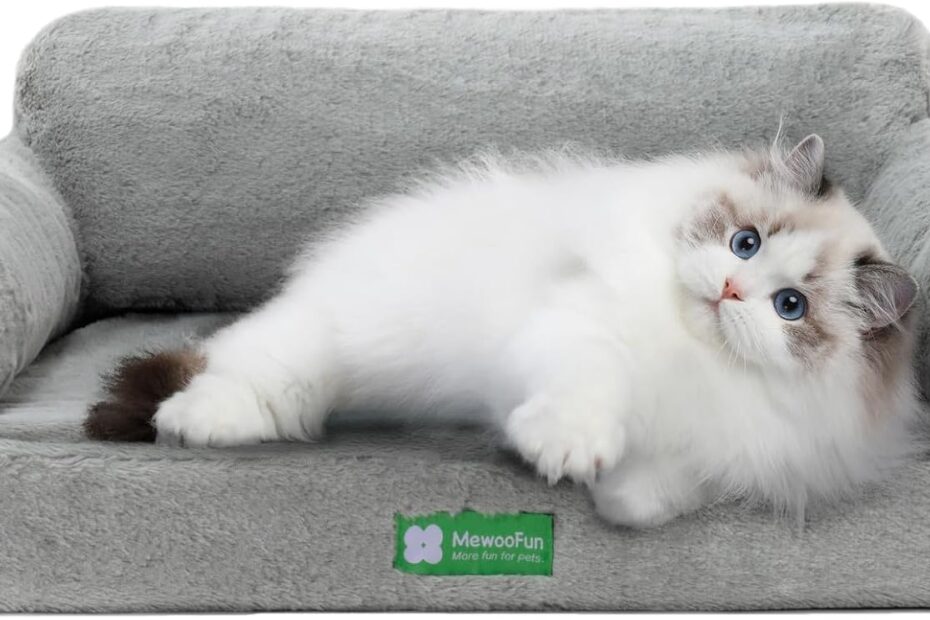 Discover Ultimate Comfort: MEWOOFUN Orthopedic Pet Bed Review