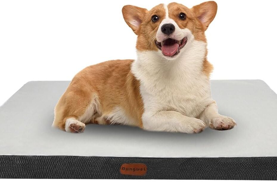 Discover Ultimate Comfort: The Best Orthopedic Dog Bed for Large Dogs!
