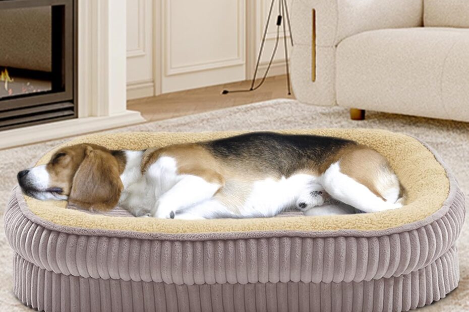 Discover Ultimate Comfort: The Orthopedic Dog Bed for Medium Breeds