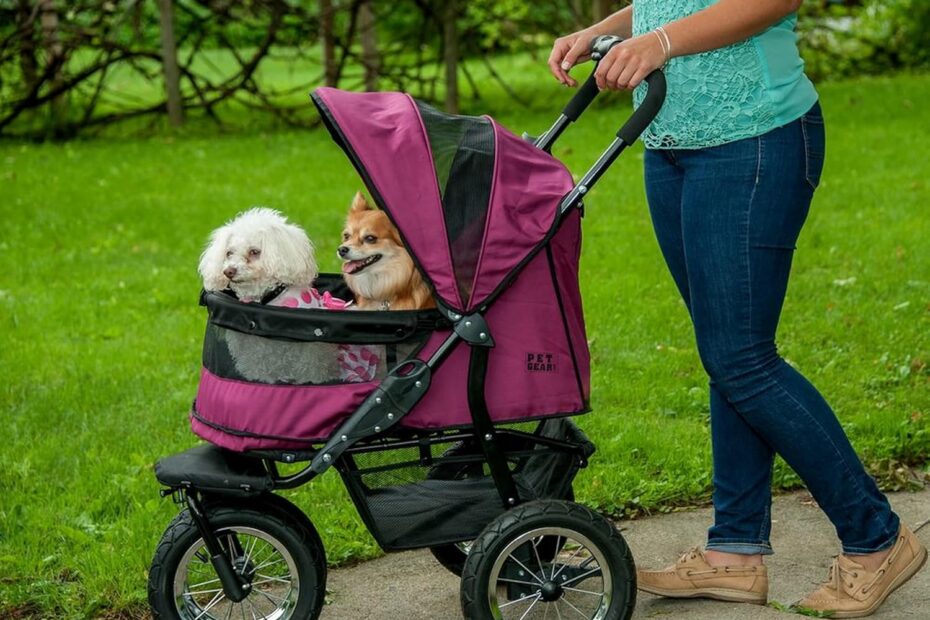 Effortless Adventures: The Pet Gear NO-Zip Double Pet Stroller Review