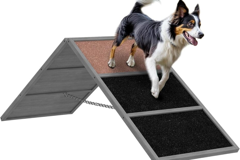 Elevate Playtime: PawHut Dog Agility Equipment Ramp Review