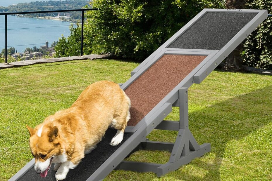 Elevate Your Dog's Skills: Review of the 71" Wooden Agility Seesaw!