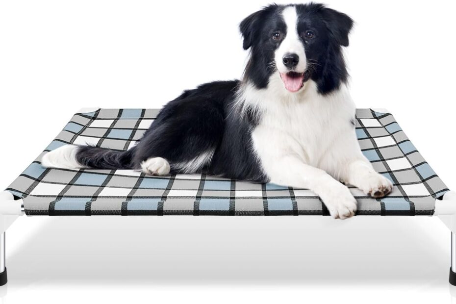 Elevate Your Pup's Comfort: A Review of the Taste Life Outdoor Raised Dog Bed