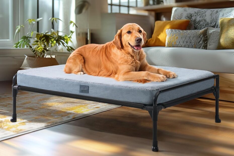 Elevate Your Pup's Comfort: A Review of the Veehoo Elevated Dog Bed