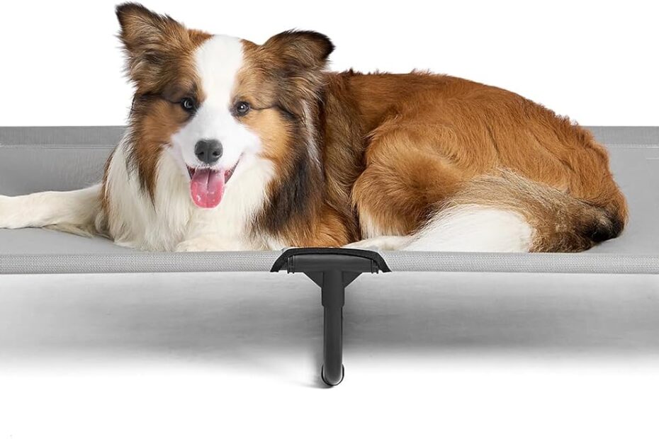 Elevate Your Pup's Comfort: EHEYCIGA 44 Inch Dog Cot Bed Review