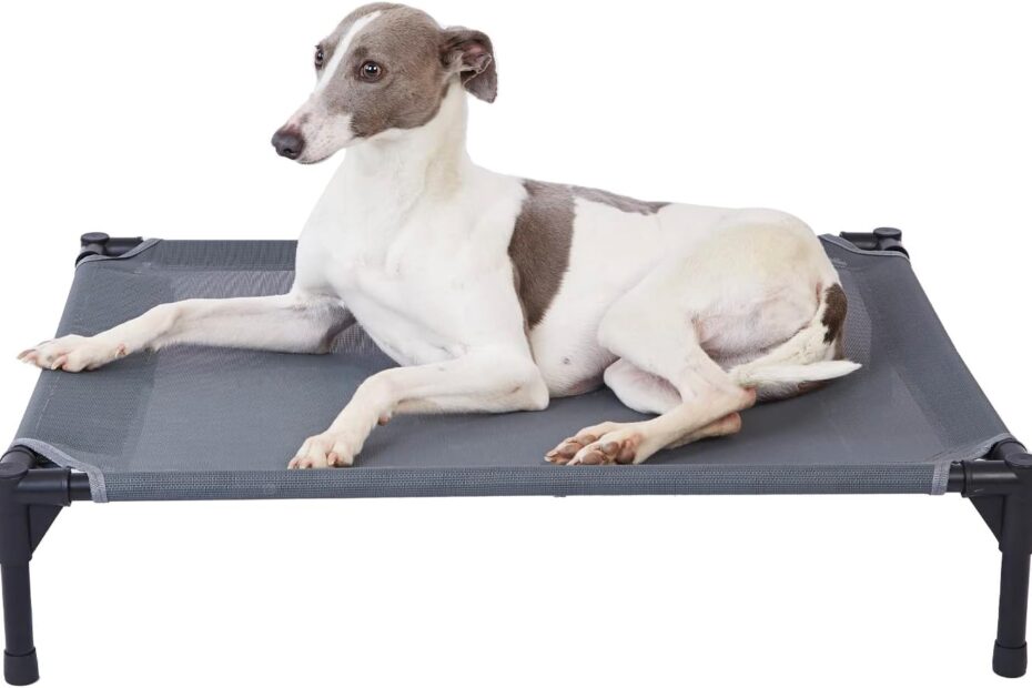 Elevate Your Pup's Comfort: Pettycare Elevated Outdoor Dog Bed Review
