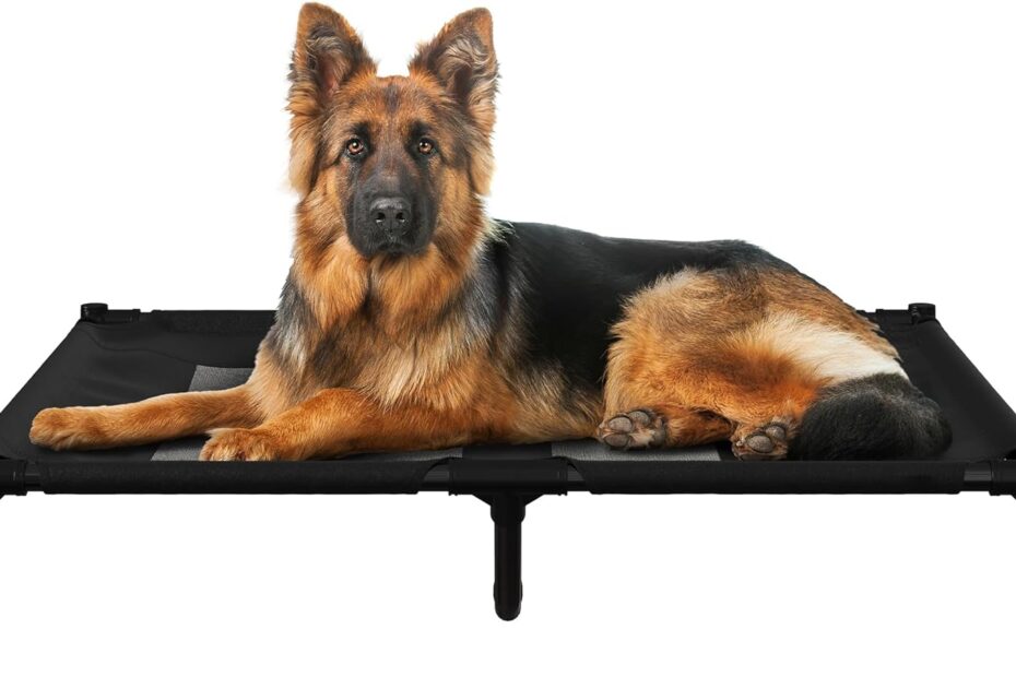 Elevate Your Pup's Comfort: Review of the PETMAKER Elevated Dog Bed