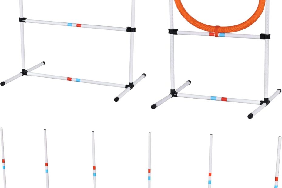 Elevate Your Pup's Play: 3pcs Dog Agility Equipment Set Review
