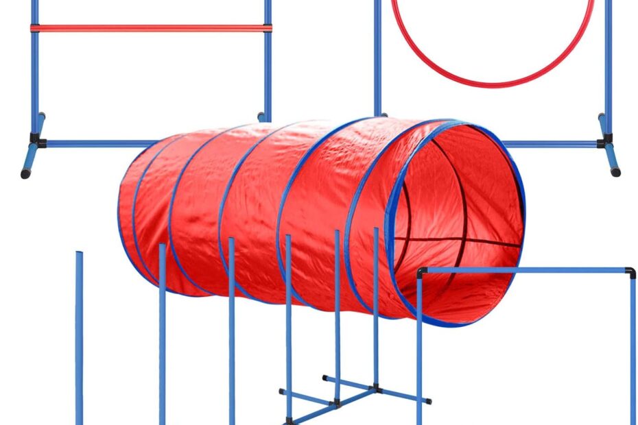Elevate Your Pup's Skills: CHEEERING PET Premium Agility Set Review