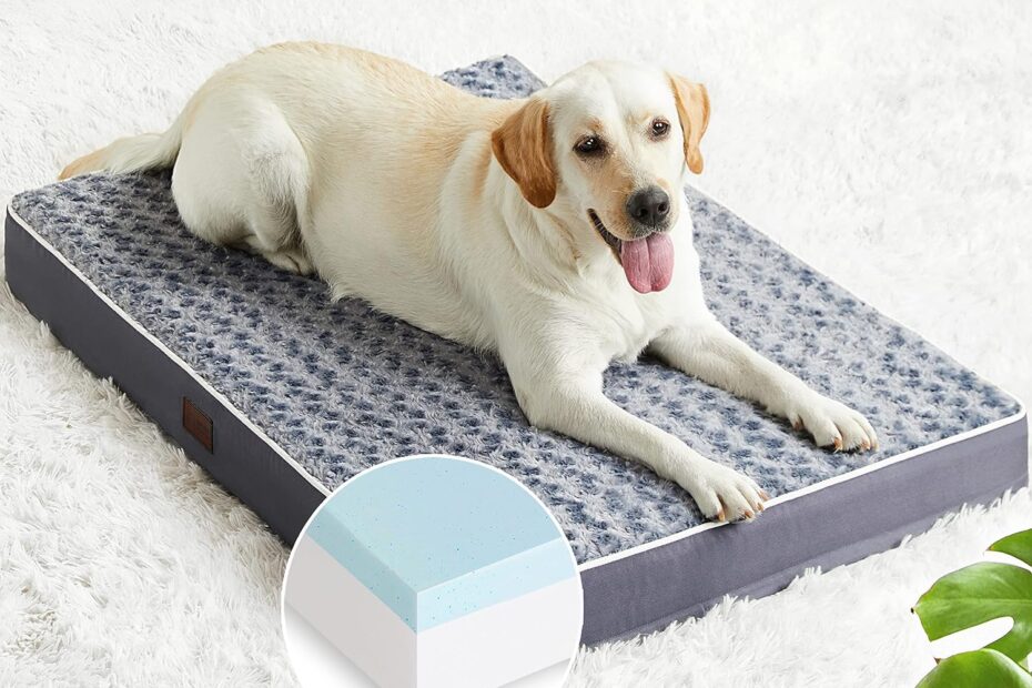 Elevation of Comfort: Figopage Orthopedic Memory Foam Dog Bed Review