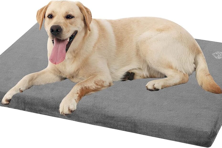 EMPSIGN Stylish Dog Bed Mat: The Ultimate Comfort for Your Furry Friend!