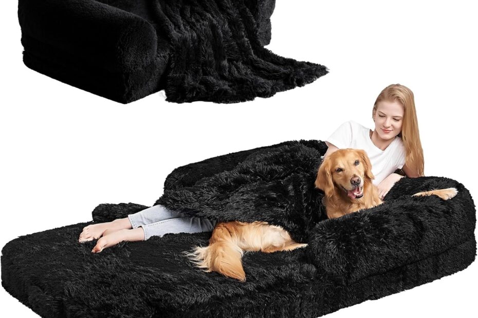Experience Ultimate Comfort: EHEYCIGA Foldable Orthopedic Dog Bed Review!