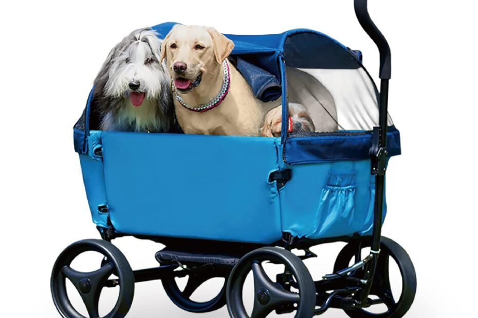 Explore the Outdoors: The Ultimate ibiyaya Noah Dog Stroller Review
