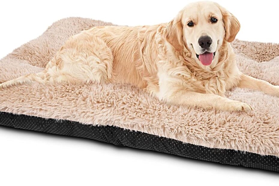 Find Comfort: The JOEJOY Ultra Soft Calming Dog Bed Reviewed!