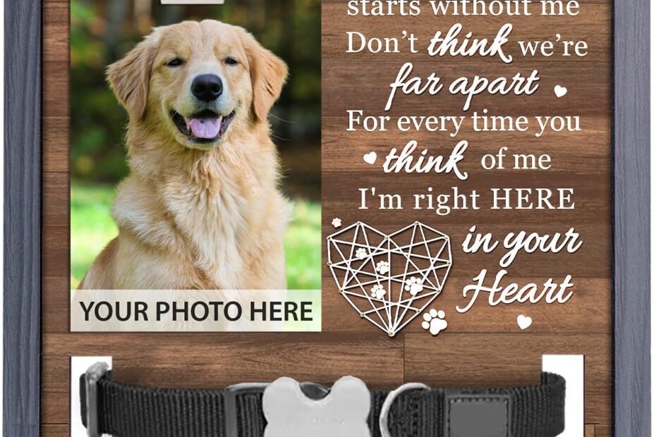 Heartfelt Remembrance: Pawfect House Pet Loss Sign & Memorial Gift Guide