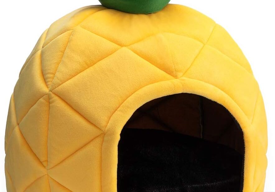 Hollypet Cozy Pet: The Perfect Pineapple-Shaped Bed for Your Furry Friend!