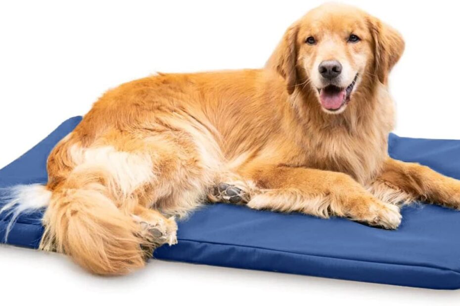 K9 Ballistics Tough Orthopedic Dog Bed Review: Durable Comfort for Your Pup!