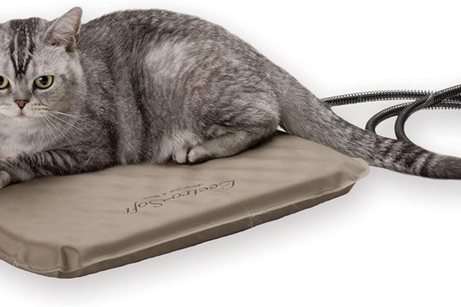 Keep Your Cat Cozy: K&H Lectro-Soft Heated Outdoor Bed Review