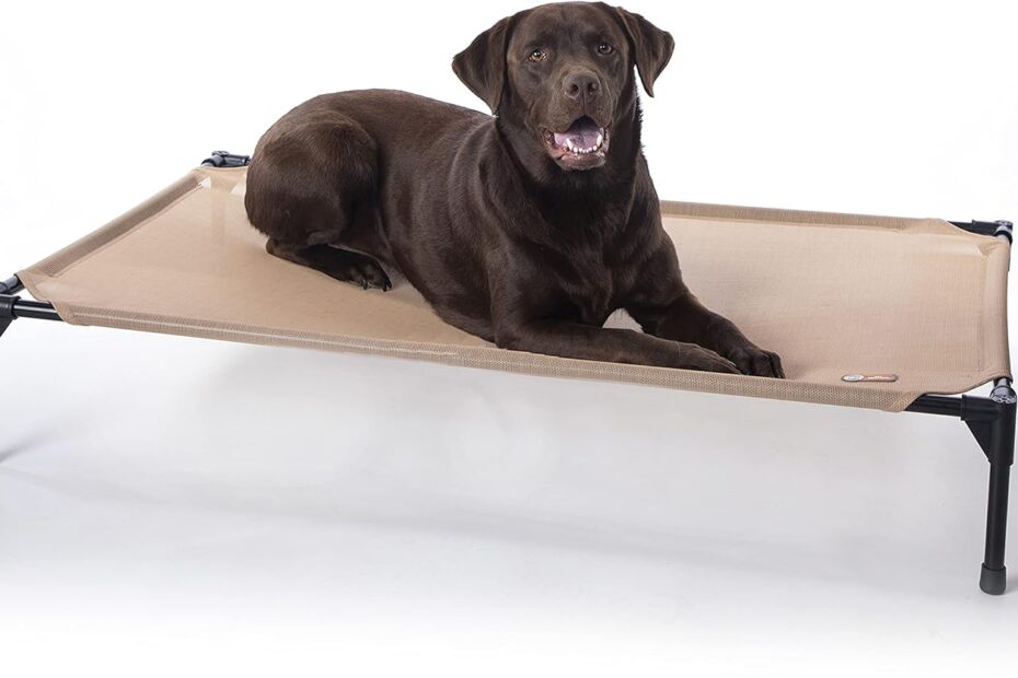 Keep Your Pooch Cool: Review of the K&H Outdoor Elevated Dog Cot